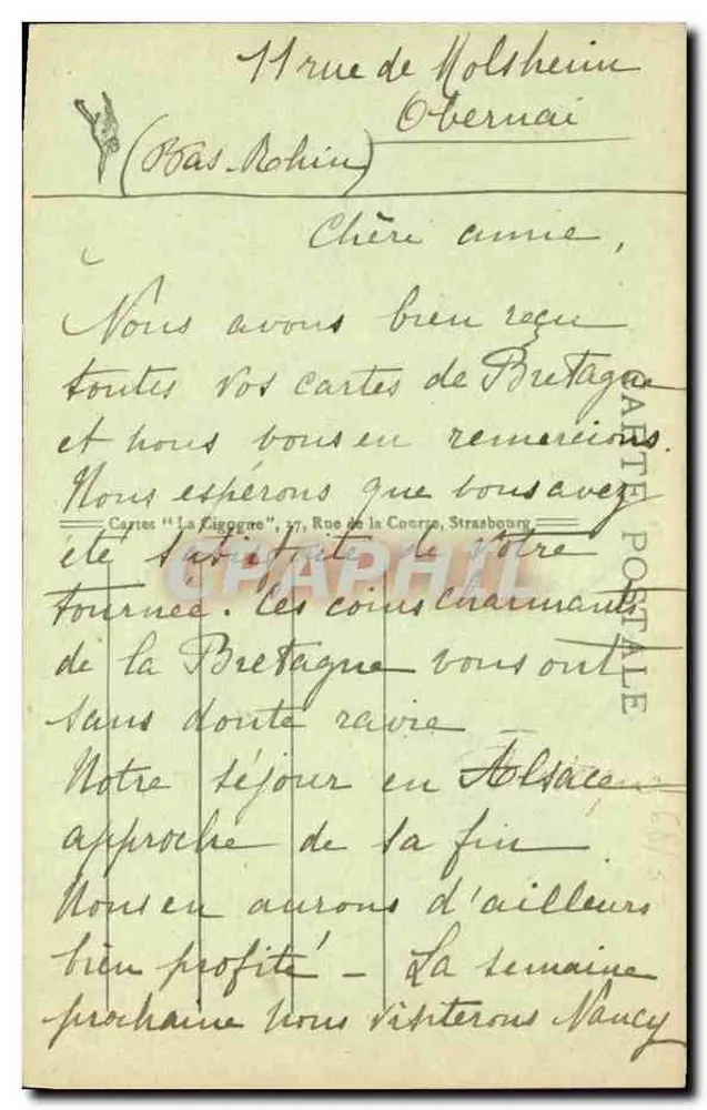 कोलमार — पिटी वेनिस — कोलमार फिल - पीछे
