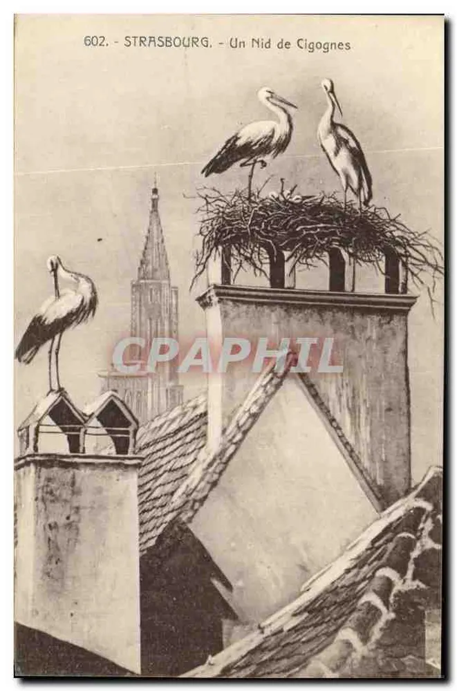 Estrasburgo - Um ninho de corujas - editor Ch. Bengeret, n° 602 - Frente