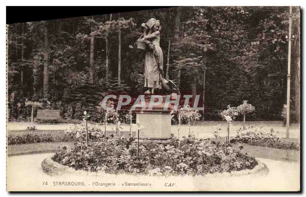 Strasbourg - A Orangerie - Gansselseleu - Frente