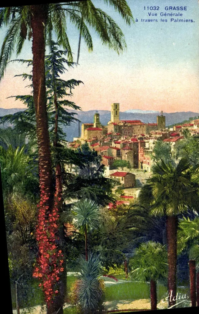 Grasse — Vista generale attraverso i palmeti — Adia, n° 11032 - Recto