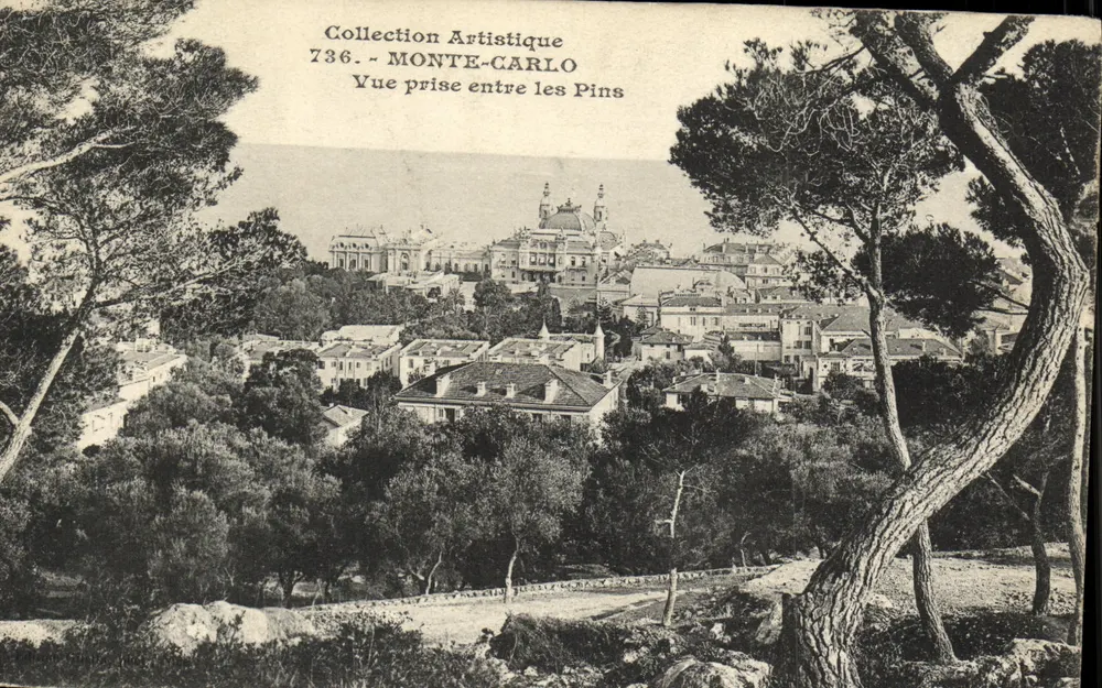 Monte-Carlo — Vue prise entre les Pins — Collection Artistique, n° 736 - Vorderseite