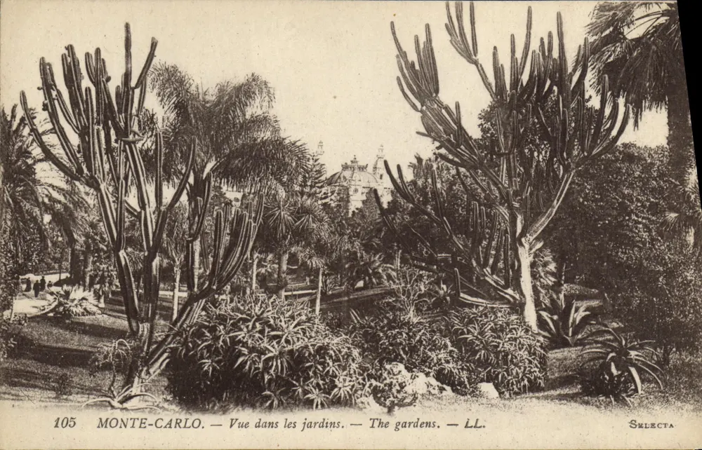 Monte-Carlo — Vista nos jardins — Selecta, n°105 - Frente