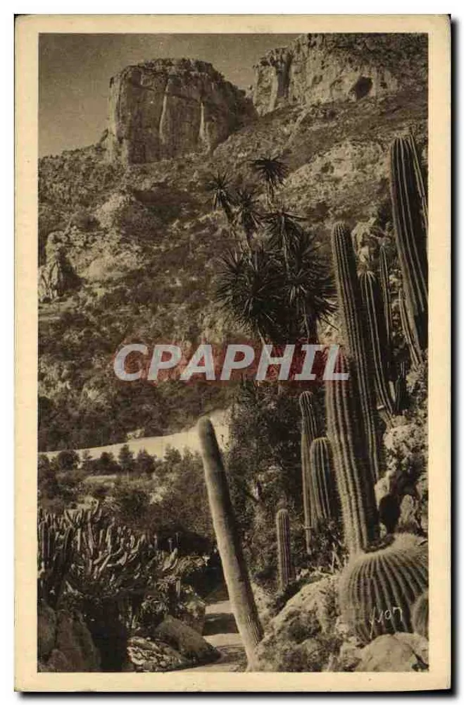 Exotischer Garten — Monte-Carlo — Côte d'Azur — Les Éditions d'Art Yvon, Paris - Vorderseite