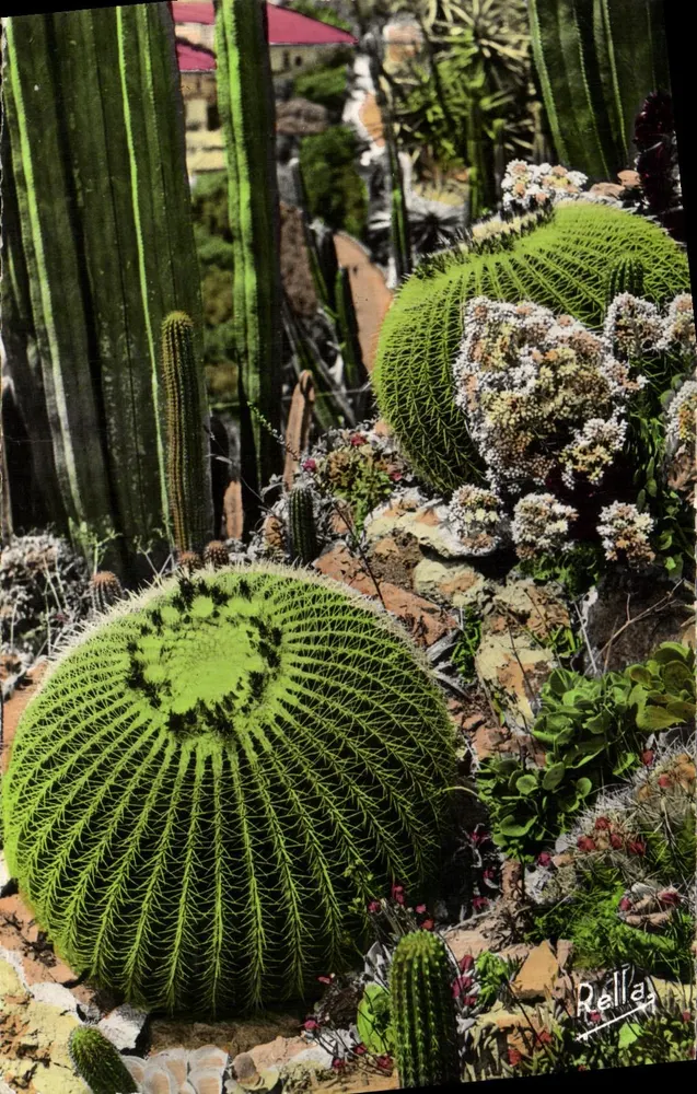Exotischer Garten von Monte-Carlo — Monaco — Editions Rella - Vorderseite