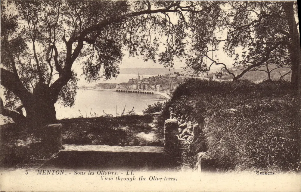 Menton - Sob os Oliveiros — Vista através dos Oliveiros — Selecta - Frente
