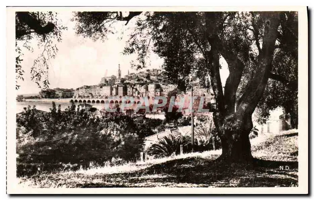 Menton — Ansicht zwischen den Olivenbäumen — Les Belles Éditions Françaises, 2 rue Trachel Nice - Vorderseite