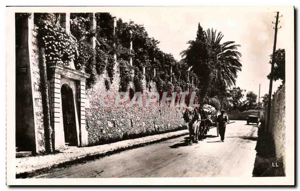Vista de rua com carruagem puxada por bois — Menton — Garavan — Les Belles Éditions Franc-Italiennes - Frente
