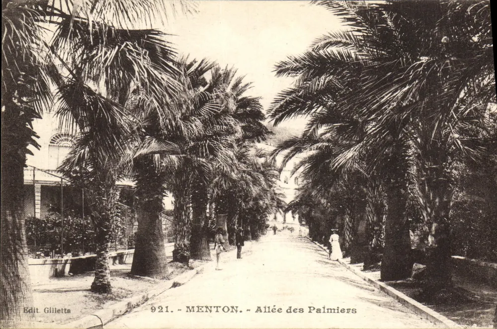 Menton — Avenida dos Palmeiras — Édit. Gilletta, n° 921 - Frente