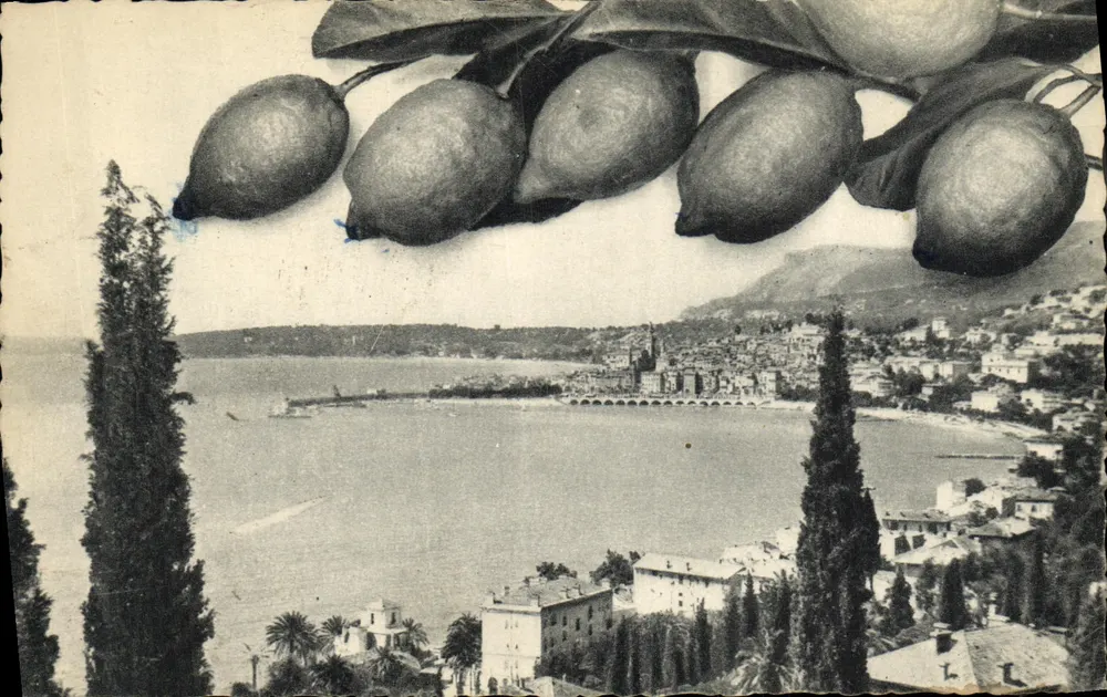 Menton — Vista geral — Os Limões — Editores fotográficos GILLETTE & Cie, Nice, n° 931 - Frente