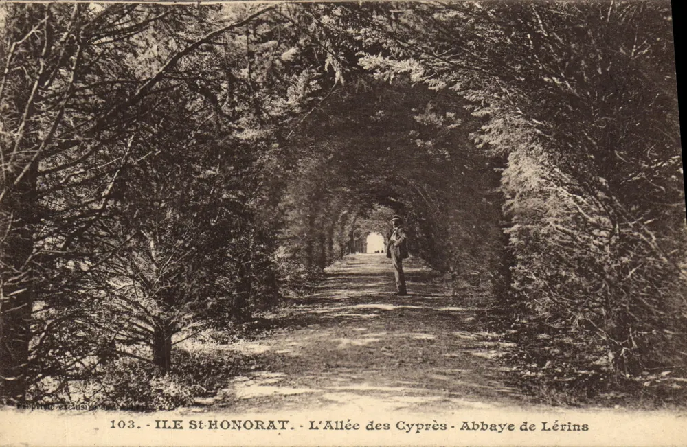 Insel St-Honorat - Der Zypressenweg - Abtei Lérins - Vorderseite