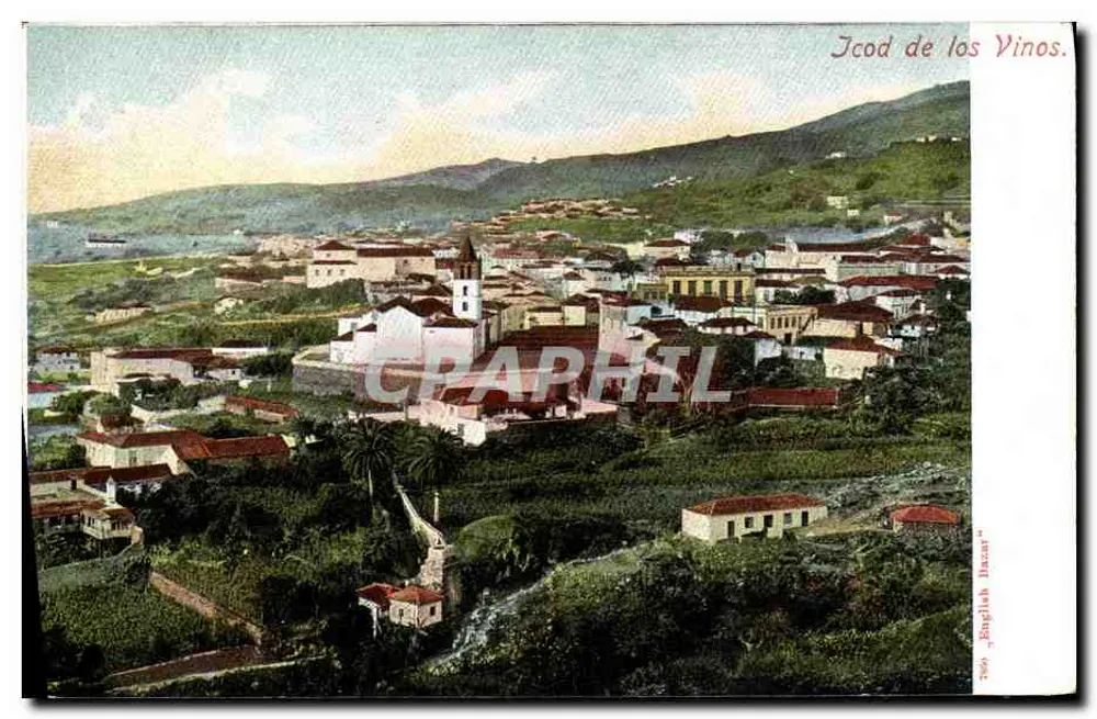Icod de los Vinos — vista panorâmica — editor 'English Bazar' n° 260 - Frente