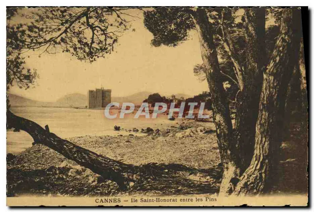 CANNES — Ile Saint-Honorat zwischen den Kiefern — Coll. RCH. BONNET - Vorderseite