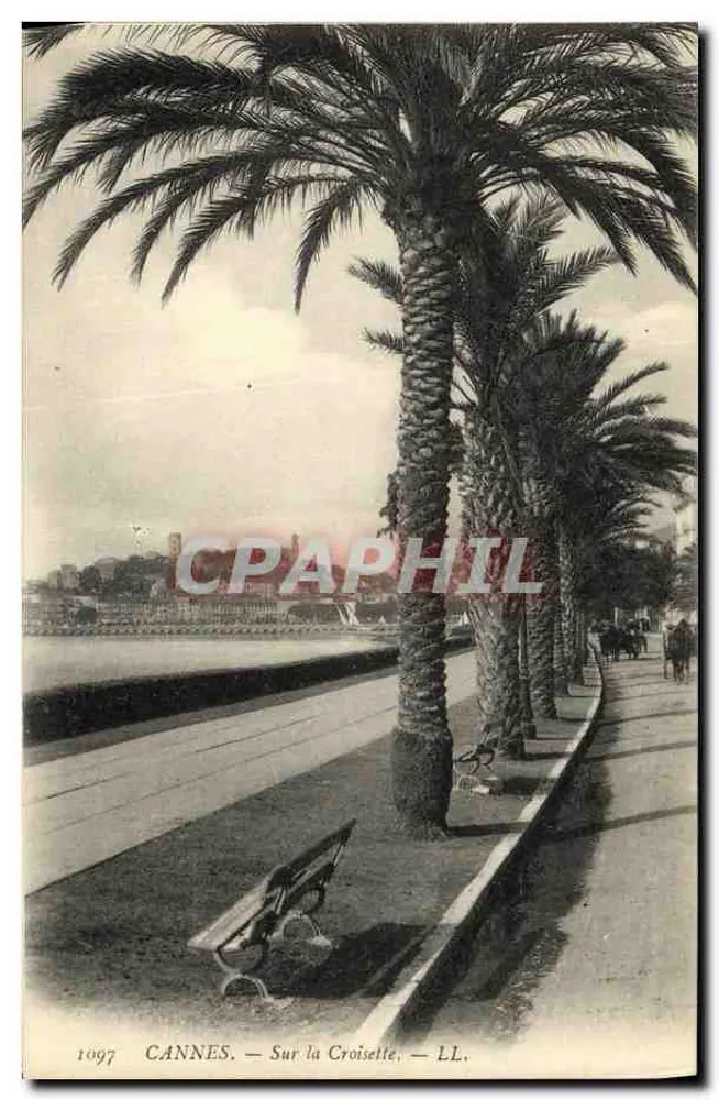 CANNES — Na Croisette — LL. — n° 1097 - Frente