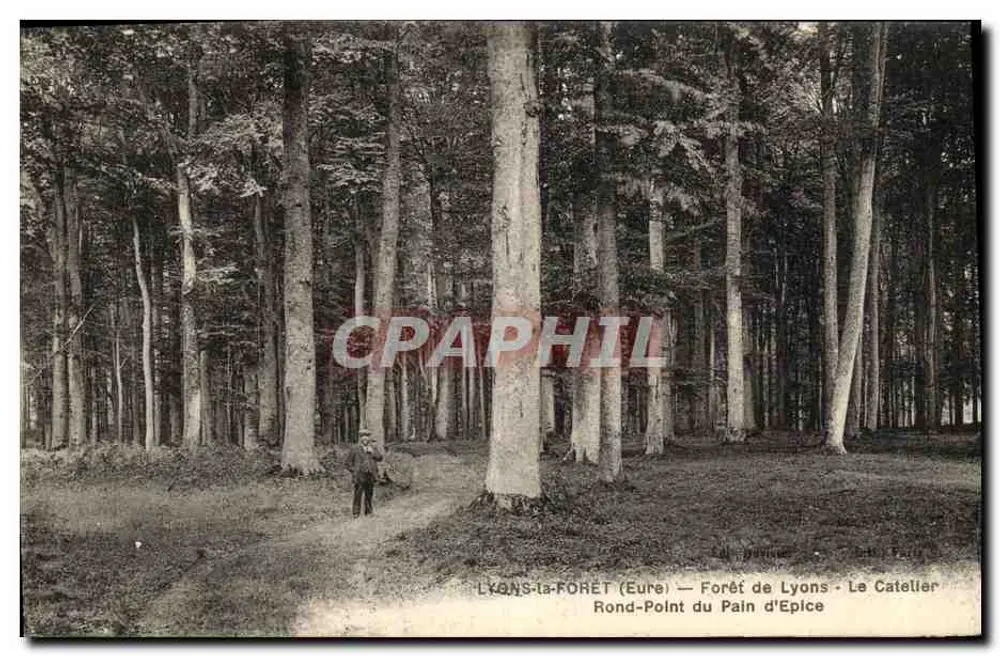 Lyons-la-Forêt (Eure) — Wald von Lyons — Le Catellier — Rundumkreuzung du Pain d'Epice - Vorderseite
