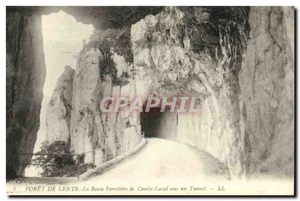 Wald von Lente — Die Waldstraße von Combe-Laval unter einem Tunnel — LL - Vorderseite