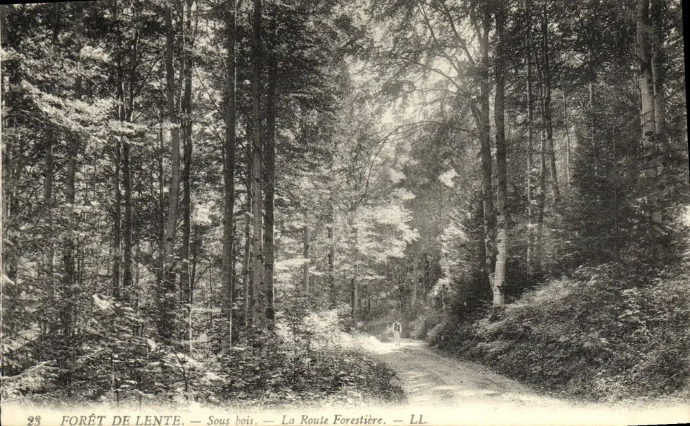 Wald von Lente — Unterholz — Die Waldstraße — LL - Vorderseite