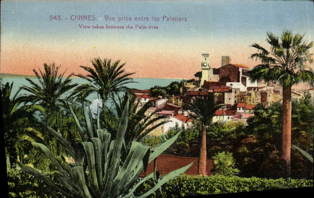 CANNES - Ansicht zwischen den Palmen — J. GILLETTE et Cie Verlag n°543 - Vorderseite