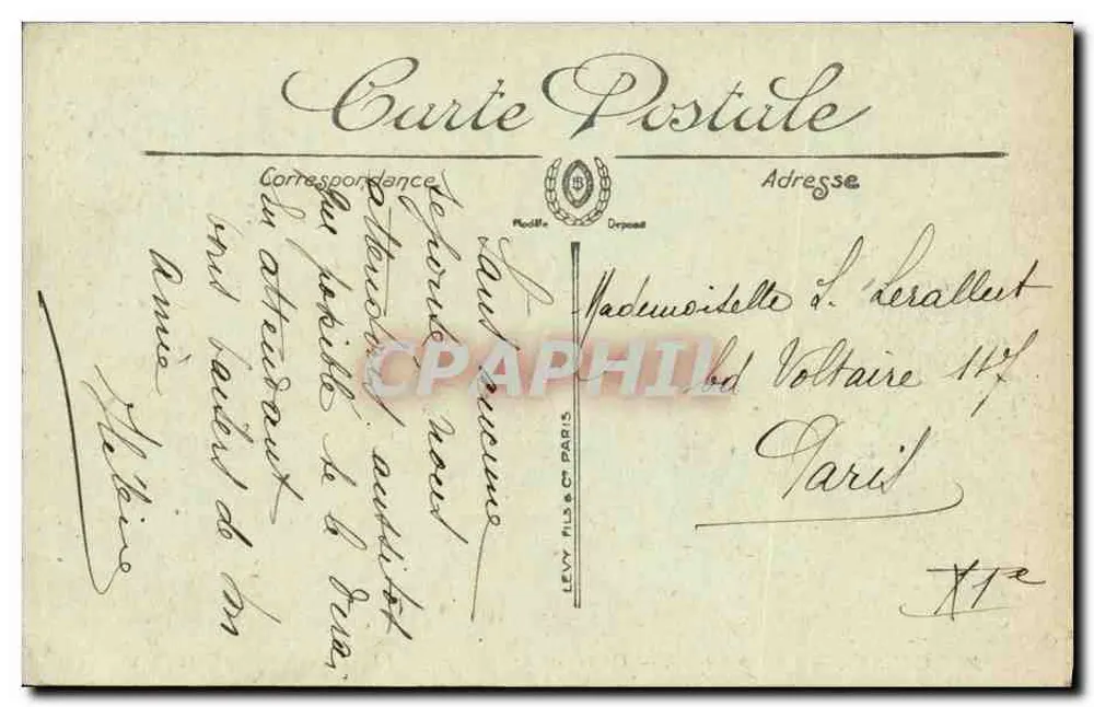 CANNES — Das Grand Hotel — Eine Gruppe Palmen — LL. — N° 116 - Rückseite