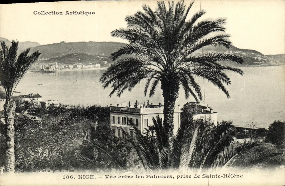 NICE — Ansicht zwischen den Palmen, Ansicht von Sainte-Hélène — Panton Gilletta, phot., Nice, n°186 - Vorderseite