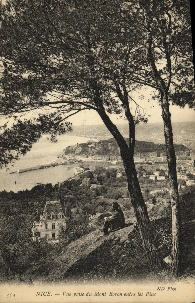 NICE — Ansicht vom Mont Boron zwischen den Kiefern — ND Phot - Vorderseite