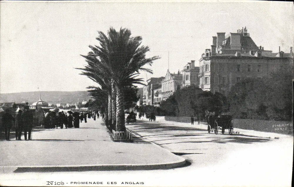 Nice - Promenade dos Ingleses — vista da promenade com palmeiras e edifícios — editor Starcks, Paris - Frente