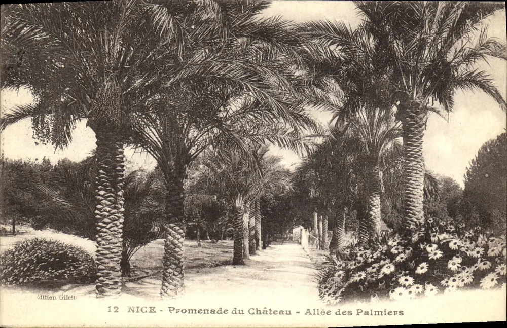 NICE - Promenade du Château - Allée des Palmiers — Édition Gilette, n°12 - Vorderseite