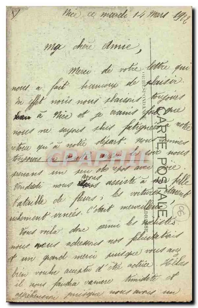 NICE — Ogród Albert I — Palmy — Baylone Frères, wyd. Nice - Rewers