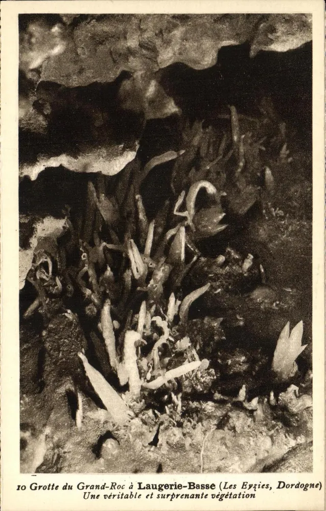 Höhle des Grand-Roc in Laugerie-Basse — Echte und überraschende Vegetation — Phototypie Héloïse, n°10 - Vorderseite