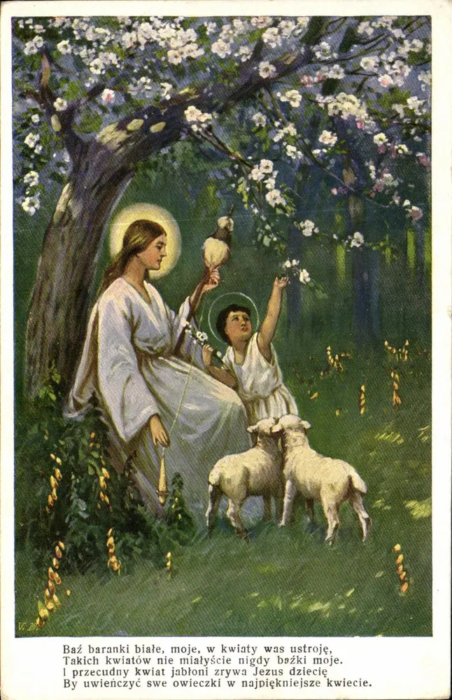 Jezus i Dziecko z owcami pod kwitnącym czereśniowcem — Wydawnictwo „POLONIA” Kraków 306 - Awers