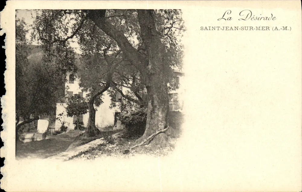 A Désirade — Saint-Jean-sur-Mer (A.M.) — editor desconhecido - Frente