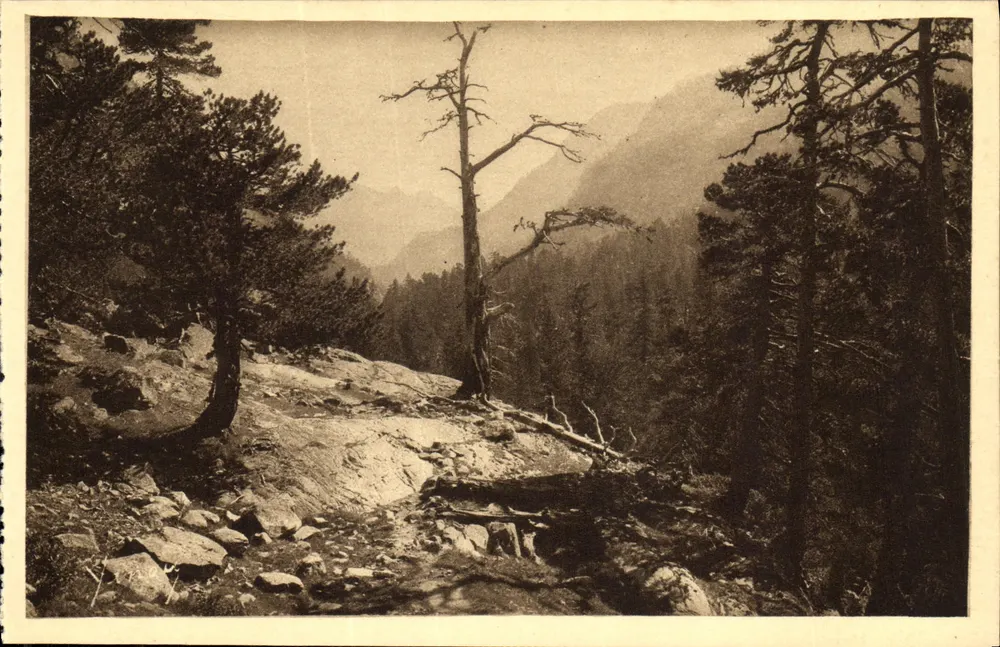 Cauterets - Dolina Mercadau — Wydawca: Launées, n° 137 - Awers