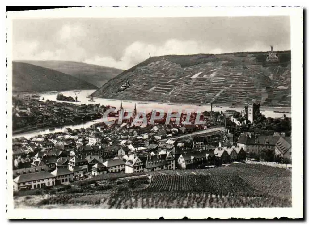 Bingen — Mäuseturm, Schloss Ehrenfels und Nationaldenkmal - Vorderseite