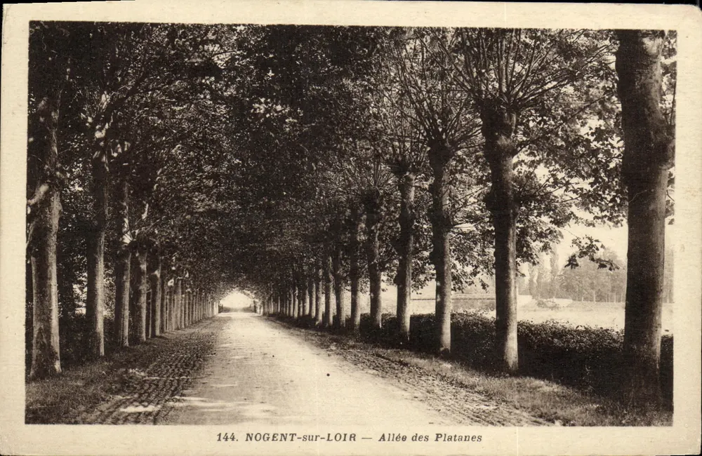 Nogent-sur-Loir — Allee der Platane — Phototypie Perrin-Menten - Vorderseite