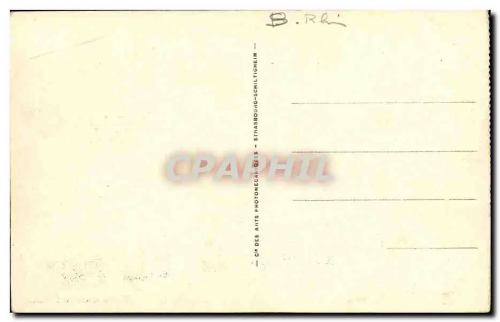 Gabbiani in Alsazia — Strasburgo — n°102 - Verso