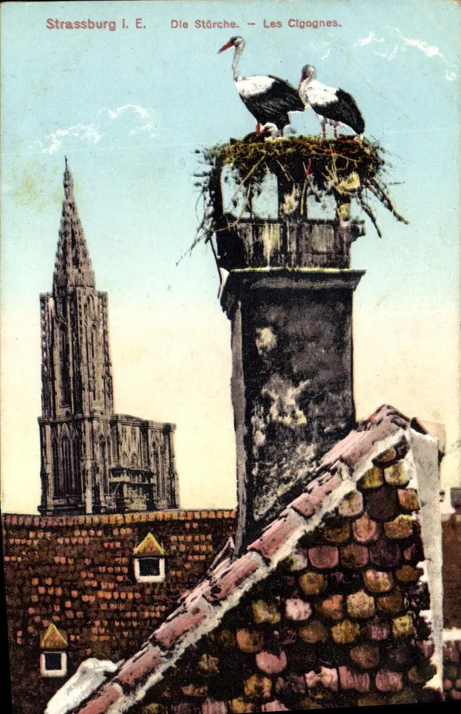 Strasbourg i. E. — As corujas sobre uma chaminé — Kunstverlag E. Hartmann - Frente