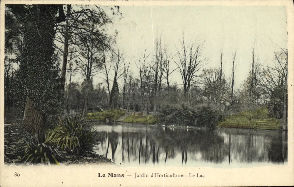 Le Mans — Jardin d'Horticulture — Le Lac — n°80 - Frente