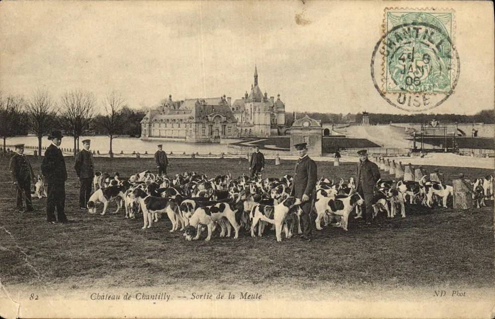 Schloss Chantilly — Ausritt der Jagdhunde — ND Phot, n°82 - Vorderseite
