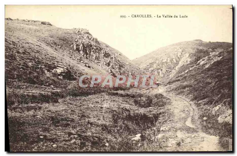 Carolles - A Vale do Lude — editor Laurent-Nel, n° 993 - Frente