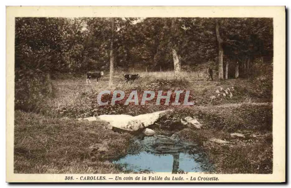 Carolles — Ein Stück der Schlucht von Lude — La Croisette — n° 508 - Vorderseite