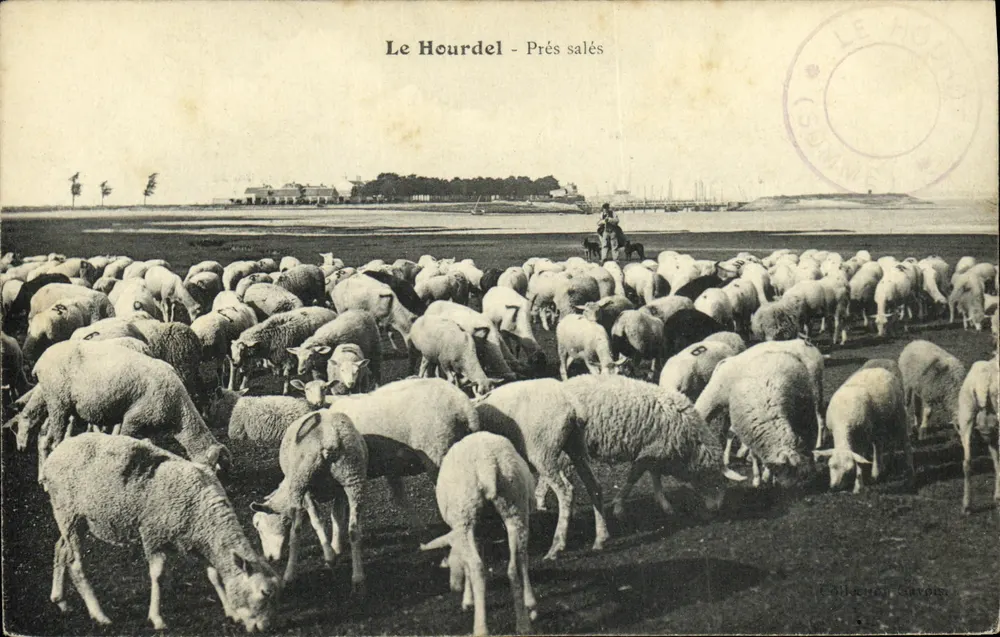 Le Hourdel - Prés salés — Editor Folkerey Savois, n°40 - Frente
