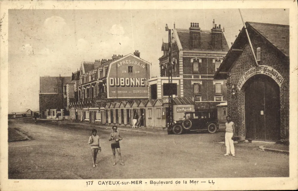 CAYEUX-sur-MER — Boulevard de la Mer — LL — 177 - Frente