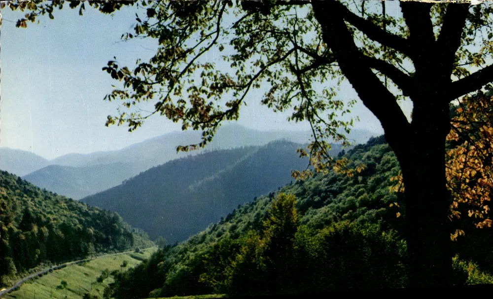 As Vosgas pitorescas — A estrada das Crêtes — Ed. Diplôme Mexichrome - Frente