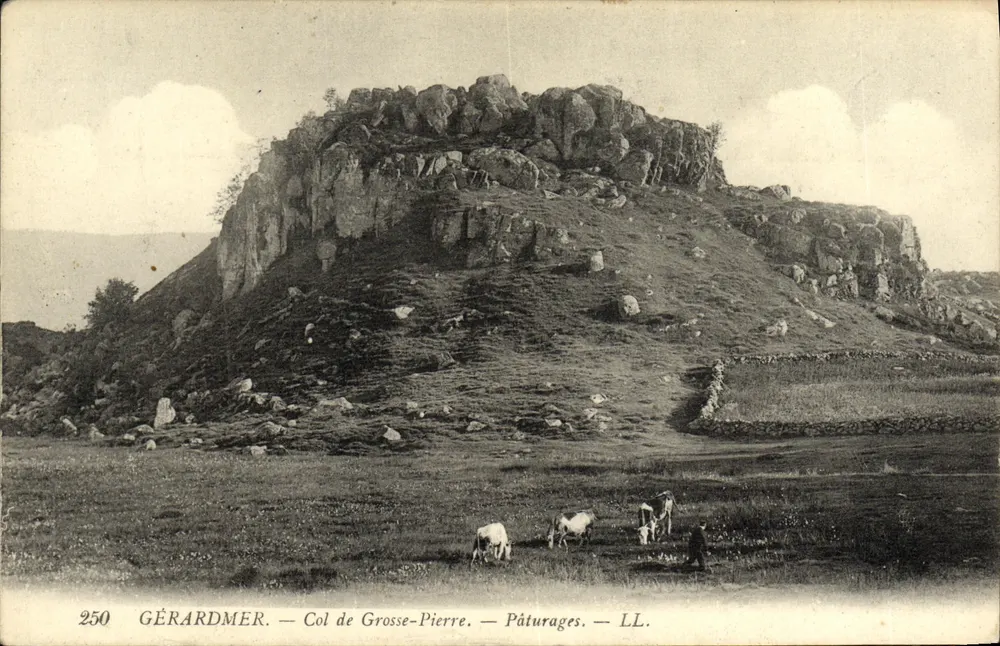 Gérardmer — Col de Grosse-Pierre — Weiden — LL. — n° 250 - Vorderseite