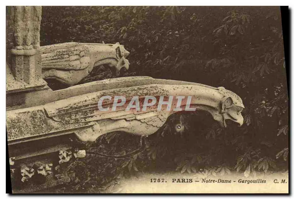 Paris - Notre-Dame - Gargouilles — C.M. n°1757 - Frente