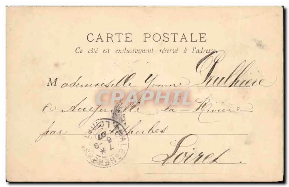 Zeder im Jardin des Plantes — Paris — unbekannter Verlag, Seriennummer 121 - Rückseite