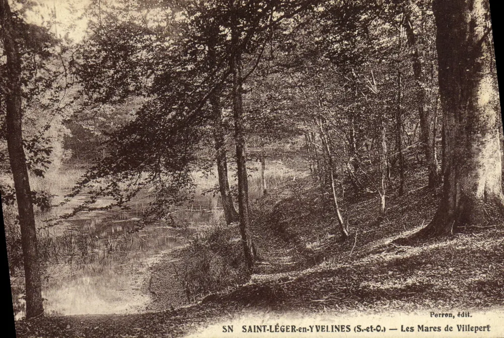 Saint-Léger-en-Yvelines (S.-et-O.) — Les Mares de Villepert — Perron, édit. - Vorderseite
