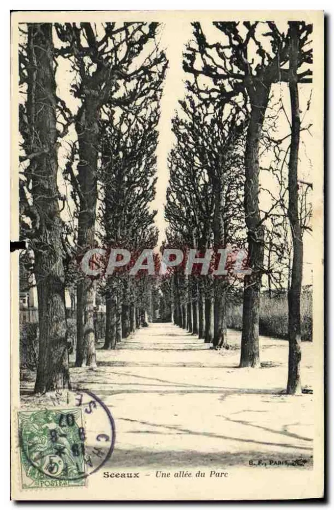Sceaux — Une allée du Parc — B.F., Paris - Recto