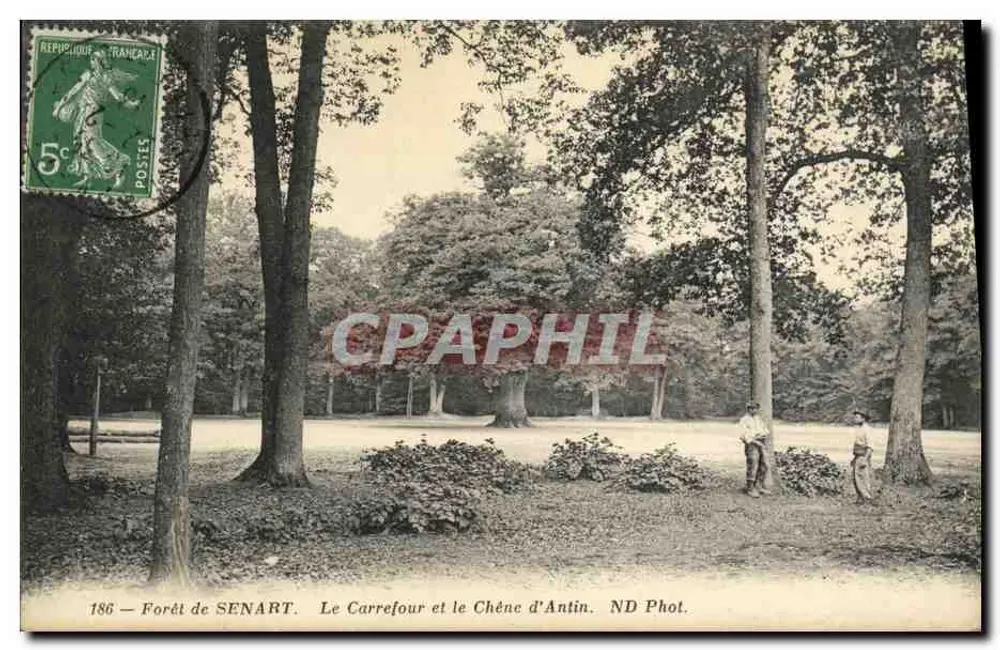 Wald von SENART — Der Carrefour und der Antin-Baum — ND Phot. - Vorderseite