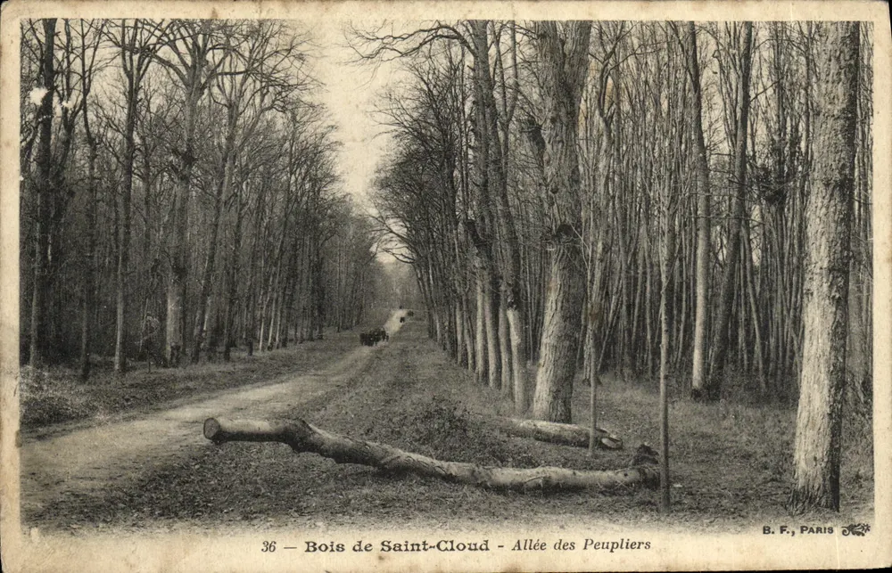 Bois de Saint-Cloud — Avenida dos Poplars — B.F., Paris - Frente