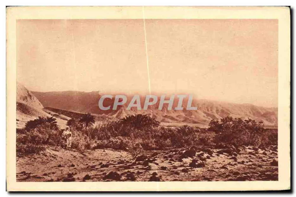 Argélia — paisagem desértica com palmeiras e montanhas — Capa do Oued de Tadjemout - Frente
